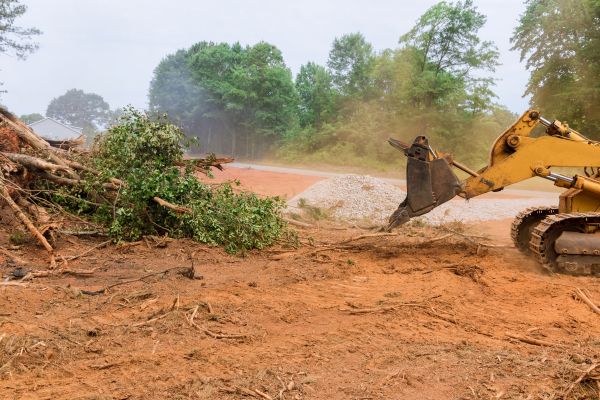 Ground Clearing in Paso Robles