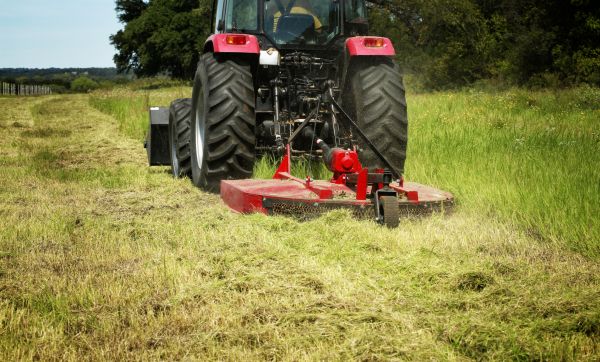 Brush Clearing Service in Paso Robles