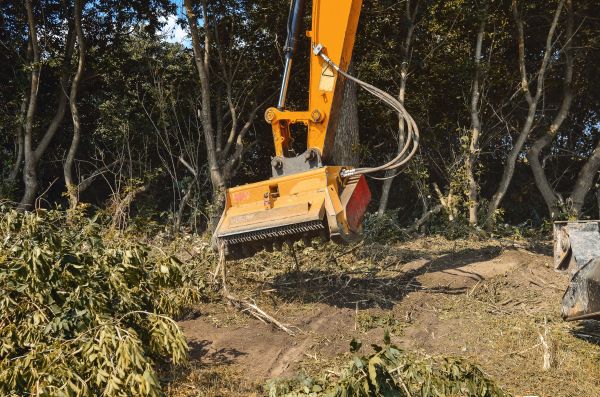 Brush Removal Service in Paso Robles