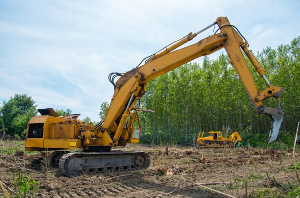 Farm Clearing in Paso Robles