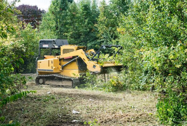 Pathway Clearing in Paso Robles