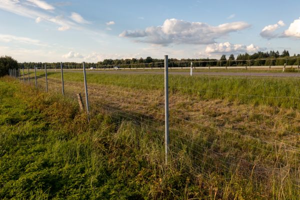Property Line Clearing in Paso Robles