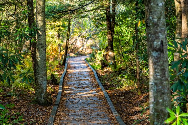 Trail Clearing in Paso Robles