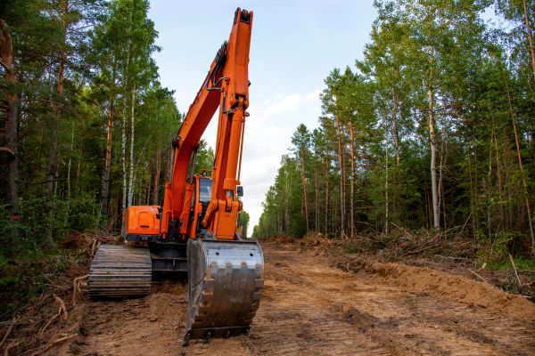 Backhoe Land Clearing in Paso Robles