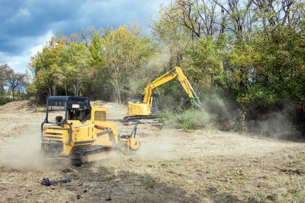 Terrain Clearing in Paso Robles