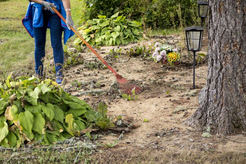 Brush Removal Service