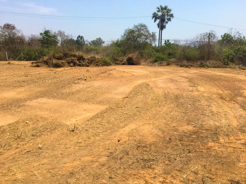 Cleared Land with Vegetation Removed